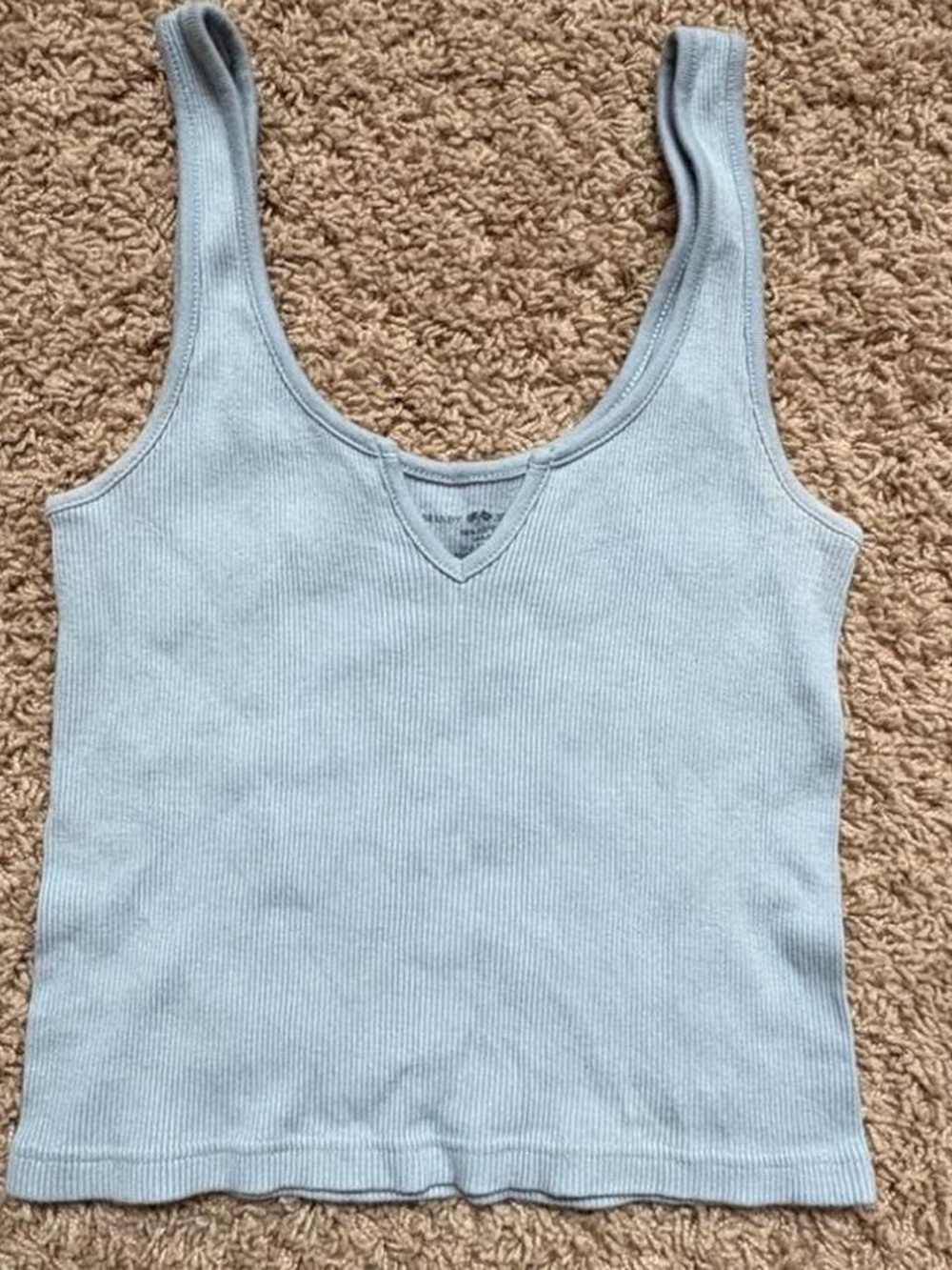 Brandy Melville Ribbed V-Notch Tank Top in Blue